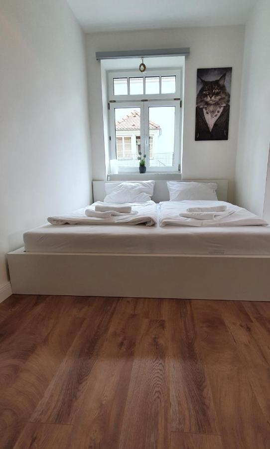 Pineapple Apartments Dresdner Heide Mit Garten دريسدن المظهر الخارجي الصورة
